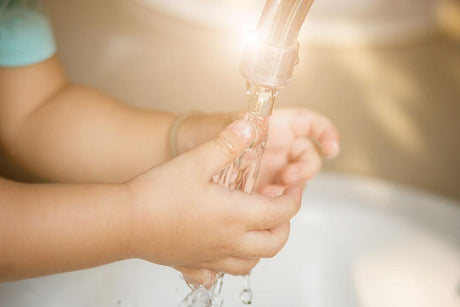 Say goodbye to your tap water worries