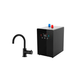 Aqua Boiler with 2-in-1 Curved Spout Tap