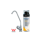 Under Bench Everpure Filter System with Tap - Commercial Grade