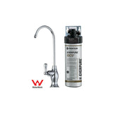 Under Bench Everpure Filter System with Tap - Commercial Grade.