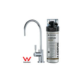 Under Bench Everpure Filter System with Tap - Commercial Grade.